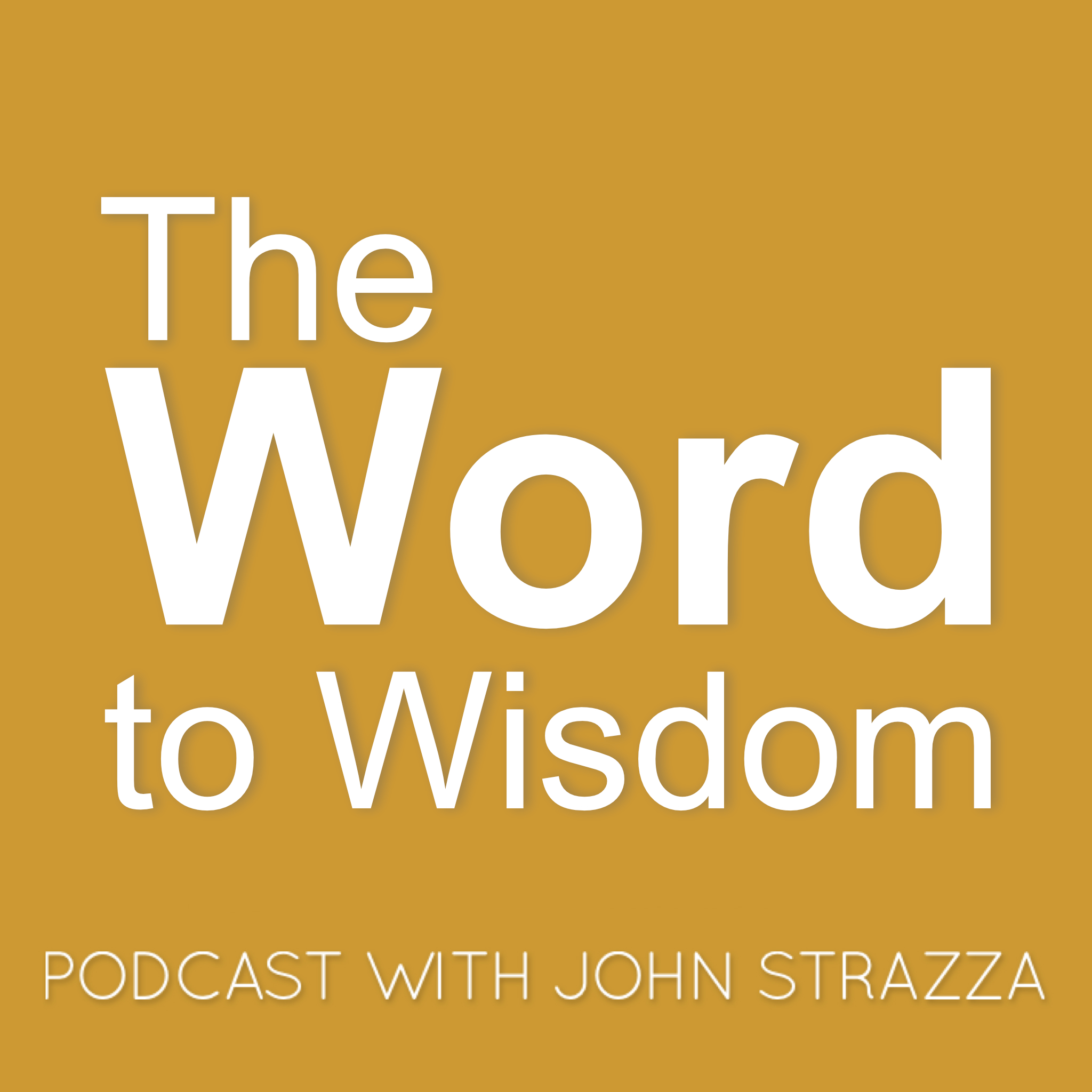 The Sowers Seeds podcast with John Strazza